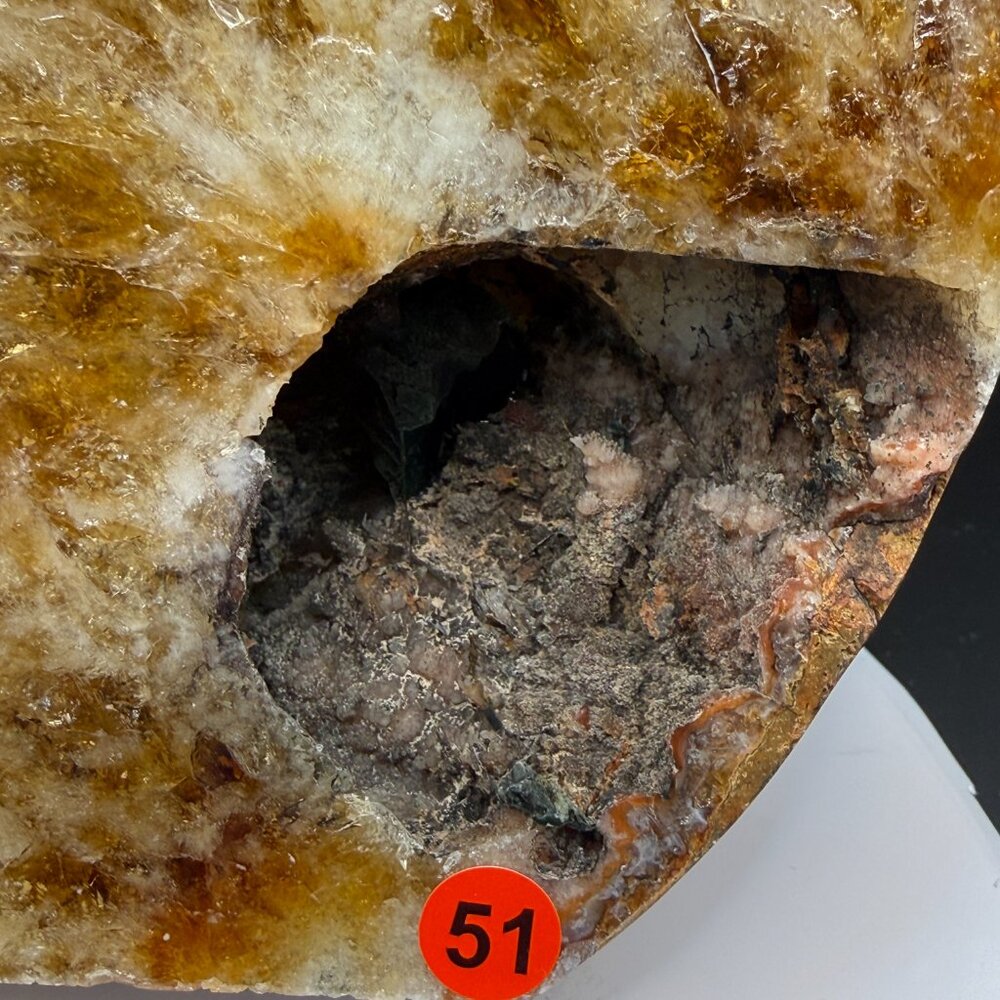 Citrine Cat Carving Extra Large Heat Treated Amethyst Quartz Crystal Animal 51 - Picture 16 of 16